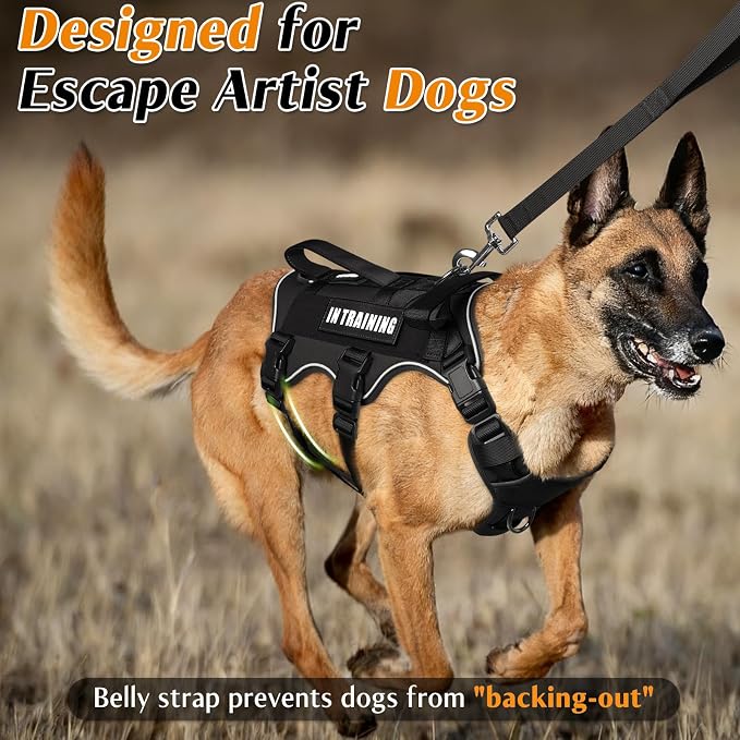 WINSEE Escape Proof Dog Harness with Double Handle+4 Removable Patches | Service Working Molle Harness with Double Handle for Large Dogs, Tactical Pet Reflective Vest for Walking Hiking Hunting - Image 2