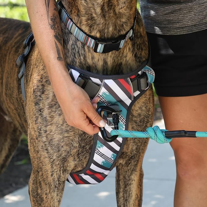 Embark No Pull Dog Harness, Reflective Adjustable Training Vest, No Choke | Adjustable straps fit all dog breeds with sturdy hooks; 360° reflective trim, soft padded Harness Design for All Dogs - Image 8