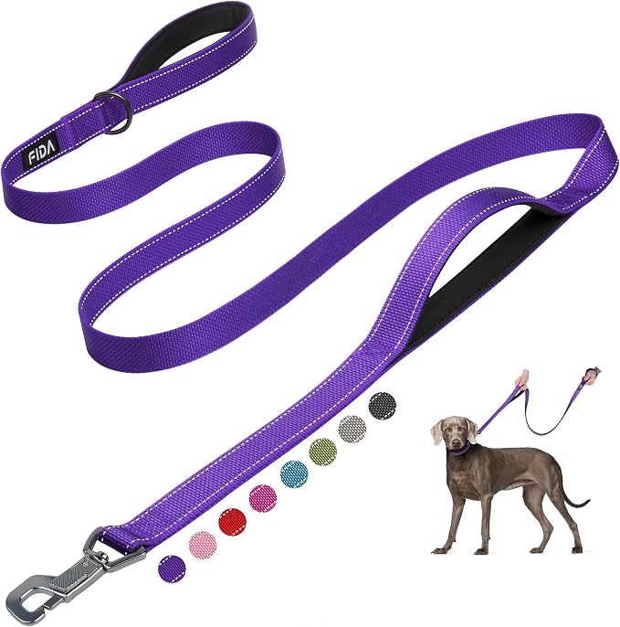 Fida Heavy Duty Dog Leash for Medium Large Dogs, 6 FT, Dual Padded Handles | Traffic Handle for Close Control, Advanced Easy Snap Hook, Reflective, Strong Nylon Webbing for Daily Walks Training, Purple by Fida