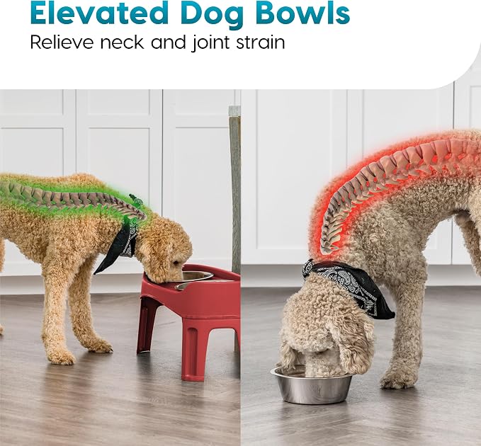 IRIS USA Elevated Dog Bowls, Dual Height 4.63" or 12.25" Made in USA, Black | Includes 2 Stainless Steel Bowls (64oz), Spill Guard, Height Adjustable, Non-Slip Feeder, Helps Reduce Neck Strain - Image 6