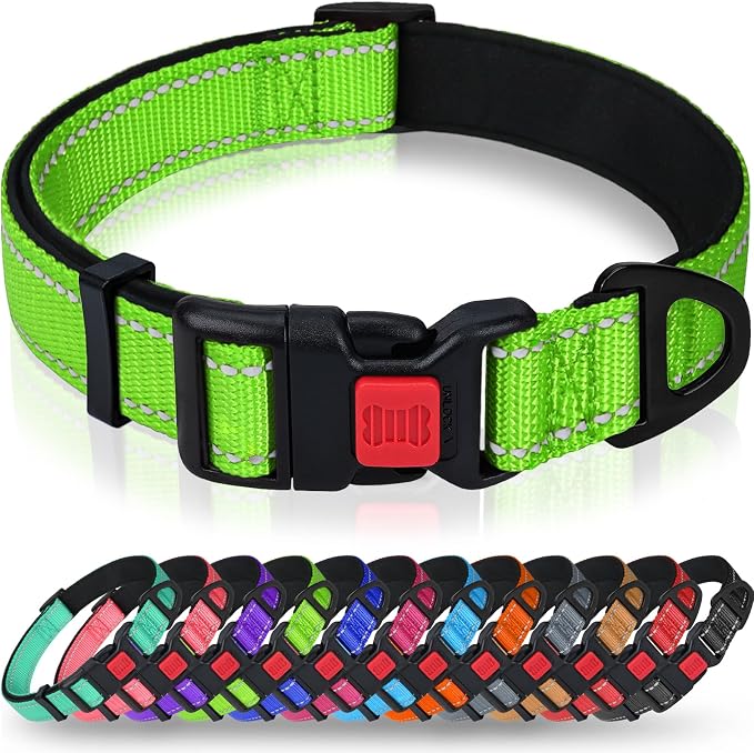 Taglory Reflective Small Dog Collar, Comfortable for Safe Night Walks,Green | Night-Walk Visibility, Soft Neck Cushioning, Adjustable 10-16 in, Locking Buckle, D-Ring for Leash and ID Tags by Taglory