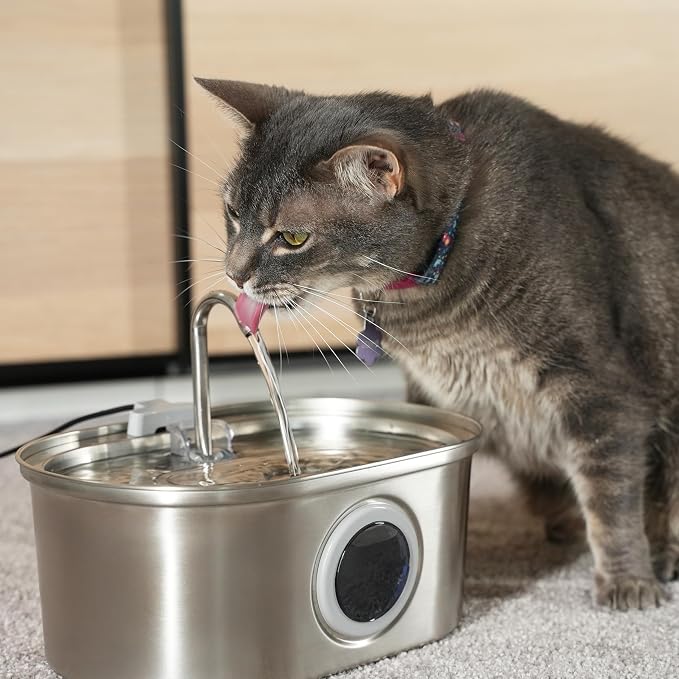 PawsPik SS-01 Stainless Steel Faucet-Design Cat Fountain 108.2 oz - Image 8