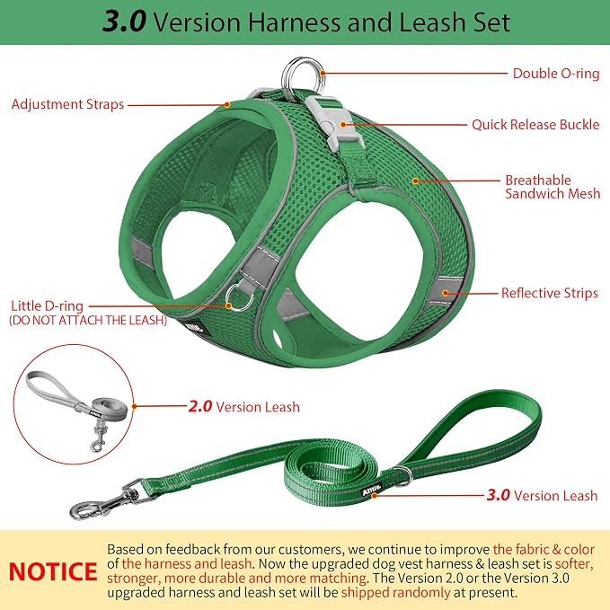 AIITLE Small Dog Harness and Leash Set, Step-in Puppy Pet Vest, Green XS | Light, Soft, Breathable Air Mesh, Escape-Proof, Easy on and Remove with Hook & Loop, Secure Reflective for Walking - Image 4