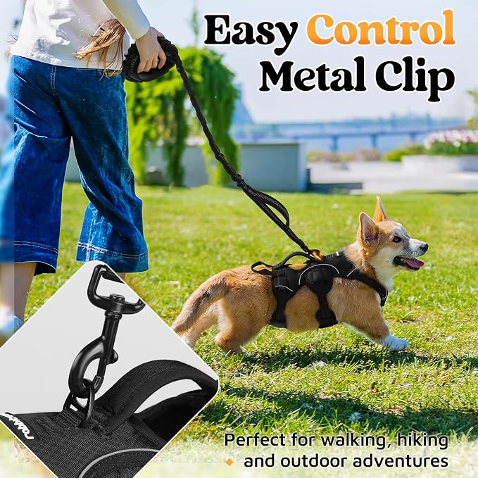 rabbitgoo Escape Proof Dog Harness for Small, No Pull with Lift Handle | No Escape, Full Soft Padded, Reflective Adjustable Vest, Leash Clip for Walking Hiking Training, Black, Small - Image 7