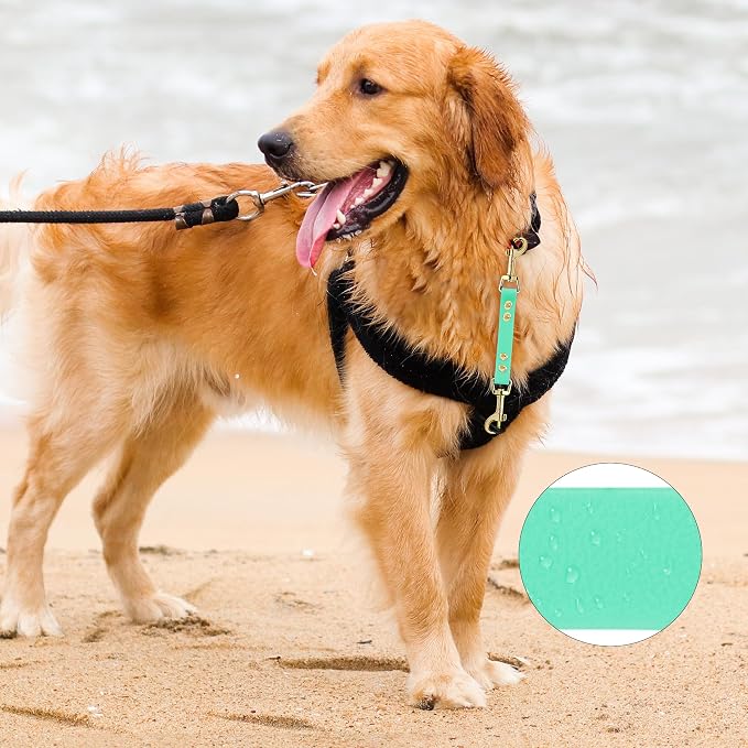 PetBonus Dog Collar Safety Clip, Waterproof Backup Safety Strap | Prong Collar to Harness Connector, Escape Proof, Odor Proof, Easy to Clean, Double Ended Clasp for Training, Mint Green - Image 3