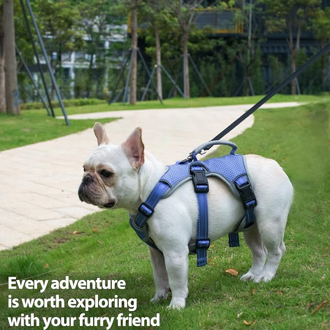 Escape Proof Dog Harness, Dachshund Harness, Reflective Dog Harness with Handle, Durable,Adjustable Vest for Small Medium Large Dogs Walking, Training, and Running Gear (Technicolor Blue,L) - Image 7