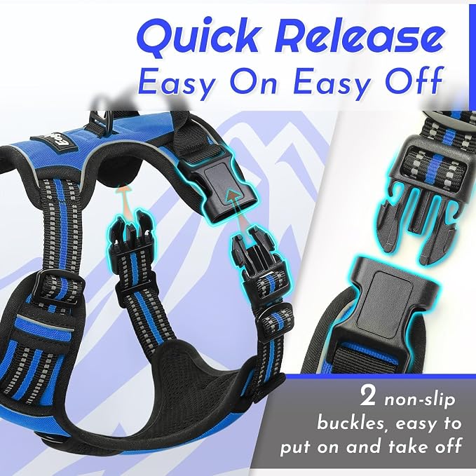 Eagloo Dog Harness for Small Dogs, No Pull Pet Vest with 2 Leash Clips | No Choke with Handle, Adjustable Comfort Fit, Reflective Strips, Easy Walking Control, Blue, Small - Image 6
