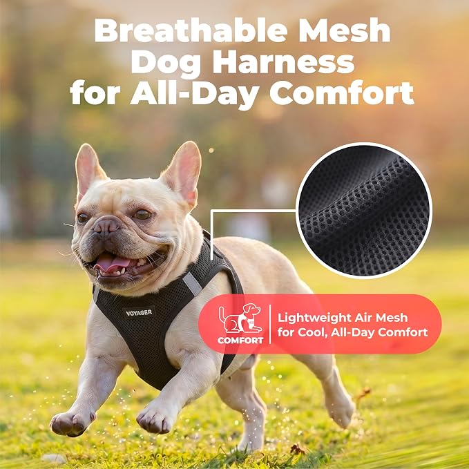 Voyager Step-in Air Dog Vest Harness - Black, Medium | 16 - 18" in Chest, Reflective Bands, All Weather Breathable Air Mesh, Cats Compatible, Lightweight, Fast Drying - Image 5