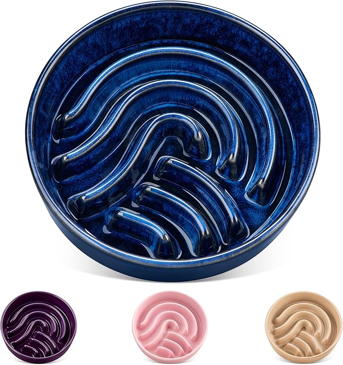 vancasso Slow Feeder Dog Bowl, 1.5 Cup Ceramic Slow Feeding Food Dish for Small and Medium Breed, Puzzle Dog Food Bowl for Fast Eater, Blue by vancasso