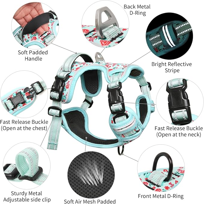 Timos Dog Harness, Front Clip No Pull Medium Sized with Handle, Cyan, M | No Choke, Adjustable Reflective Soft Padded, Quick Release 3 Buckles, Easy On & Off, Front & Back 2 Clips for Outdoor Walking - Image 3