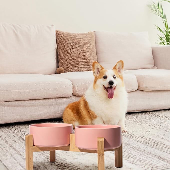 Elevated Ceramic Dog Bowl, 3.6 Cups Dog Food and Water Bowl Set with Stand | 6.1'' Double Dog Feeding Dishes, Non-Slip Raised Dog Feeder for Small and Medium Breeds, 28.74 OZ / 850 ML, White - Image 6
