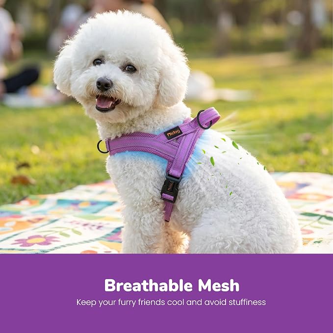 No Pull Dog Harness for Small Dogs, Breathable Mesh Padded, Purple,XS | Quick Fit, Easy On and Off, Lightweight, Reflective Vest Harness for Night Safty, Easy for Walking and Training, Chest 15-18" - Image 2