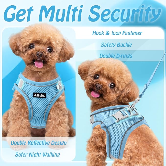 AIITLE Dog Harness and Leash Set, Step-in Puppy Pet Vest, Pure Blue XXS | Breathable Mesh, Adjustable Fit, Reflective Design, Padded Leash Handle, for Small-Medium Dogs & Cats, Walking, Training - Image 8