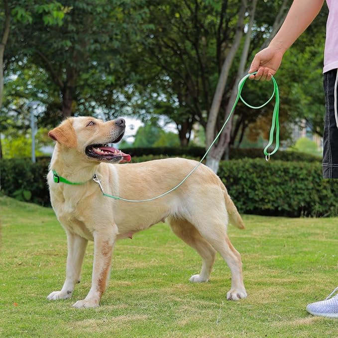 Waterproof Dog Leash, 5/6 FT Durable Odor-Proof Dog Leashes with Strong Metal Hooks Fits Small Medium or Large Dogs (Green, 5FT - 3/4 inch Width) - Image 6