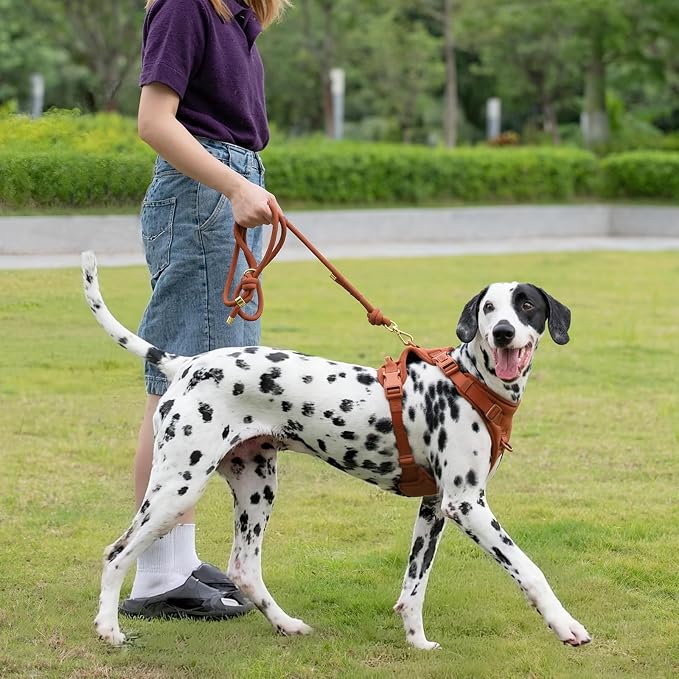 5FT Dog Leash Puppy Cat Rope Lead for Small Medium Large Dogs | Carmel Brown,with Anti-tangle Swivel Clip,Non-slip Grip Handle,Ideal for Daily Walks and Training - Image 8
