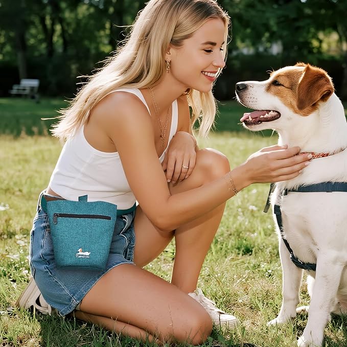 Dog Travel Bag for Pet Kit for Supplies with 2 Food Storage Containers 2 Collapsible Bowls 1 Feeding Mat 1 Dog Treat Pouch 7-Piece Set Perfect Road Trips Camping Weekend (Teal) - Image 7