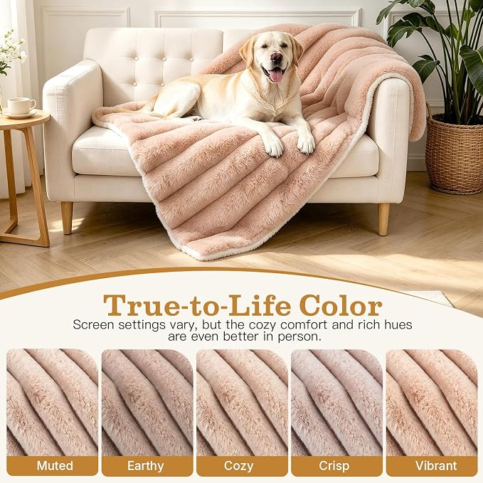 Dog Blanket for Small Dogs, Soft Rabbit Fur Puppy Blanket 25x35 Coffee | Nodarko Double-Sided 600GSM Rabbit Fur & Fleece Dog Blanket, Washable Pet Blanket for Couch, Crate & Car Seat - Image 4