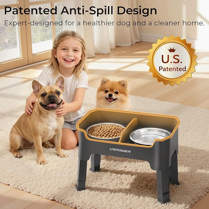 URPOWER Mess Proof Elevated Dog Bowls, Splash Guard Raised Bowl Stand | 4 Adjustable Heights, 2 Stainless Steel Bowls, Food & Water Separation, Non-Slip Base, Foldable Design for Small Dogs - Image 2