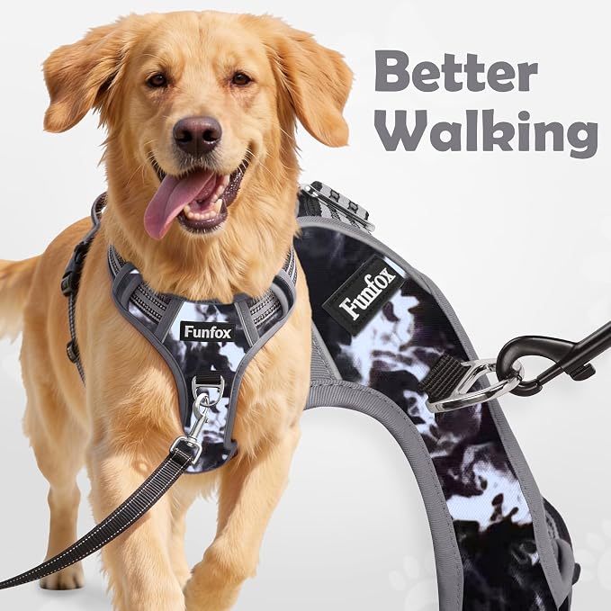 Dog Harness No Pull, Adjustable Pet Vest Harness, Super Soft Material with Vertical Handle Easy Control, Reflective Night Walking, 2 Leash Clips for Small Sized Dogs, Misty Gray, S - Image 2