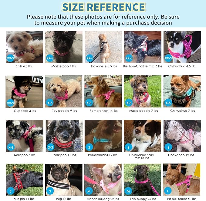 Lukovee Soft Padded Small Dog Harness (X-Small, Green) with 4ft Lightweight Leash, Adjustable Reflective Vest for Walking, Running, Hiking, Training | Both Neck & Chest Adjustable, Reflective, Puppy Harness with 4ft Lightweight Anti-Twist Dog Leash for... - Image 8