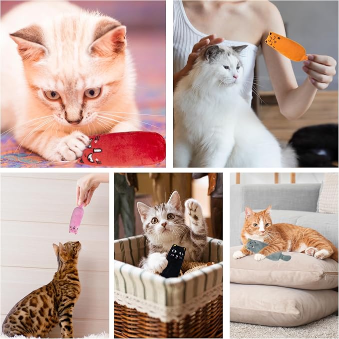 5pcs Catnip Toys, Funny cat Toy, bite Resistant cat Toys | Indoor Cartoon cat Toys for cat,cat chew Toys - Image 8