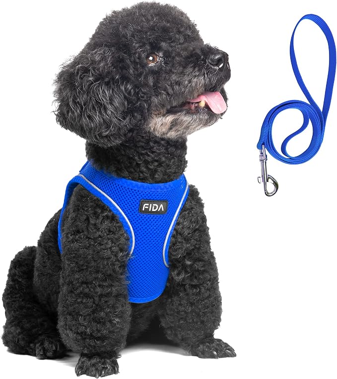 Fida Comfy Dog Harness with Leash, Soft Puppy Vest Escape Proof, Breathable Lightweight Soft Mesh, Adjustable Reflective Step-in Harness for Small & Medium Pet Walking (M, Blue) by Fida