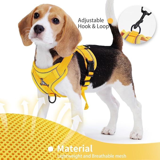 Dog Harness Small Sized Dog Pet Vest with Leash Set Yellow M | Adjustable Puppy Vest Harness, No Choke No Pull, Soft Padded, Step-in Dog Vest, Reflective Cat Harness, Breathable Air Mesh - Image 3