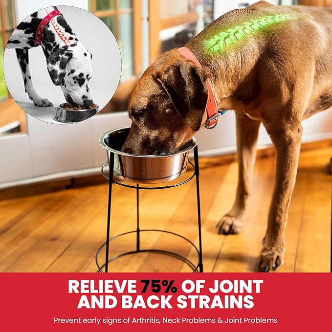 SPOT Hi Rise Single Diner Elevated Dog Feeder, 2qt Stainless Steel Bowl, Durable Wire Stand, Hygienic, Easy to Clean, Promotes Proper Posture for Tall Pets, Ideal for Medium and Large Breeds, 14.25in - Image 4