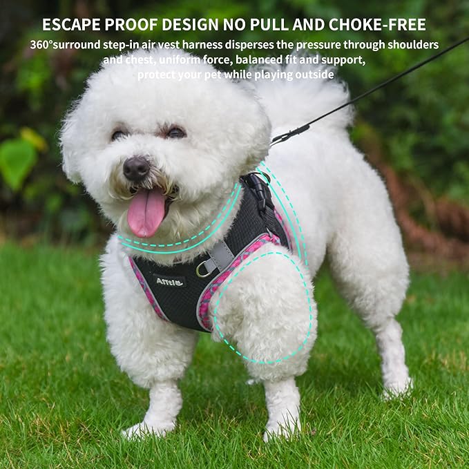 Step in Dog Harness & Leash Set with Reflective Design, Black XXS | No Pull Puppt Pet Vest, Breathable Mesh, Escape-Proof Design with High-Stick Magic Tape, Outdoor Use for Chihuahua, Maltese - Image 8