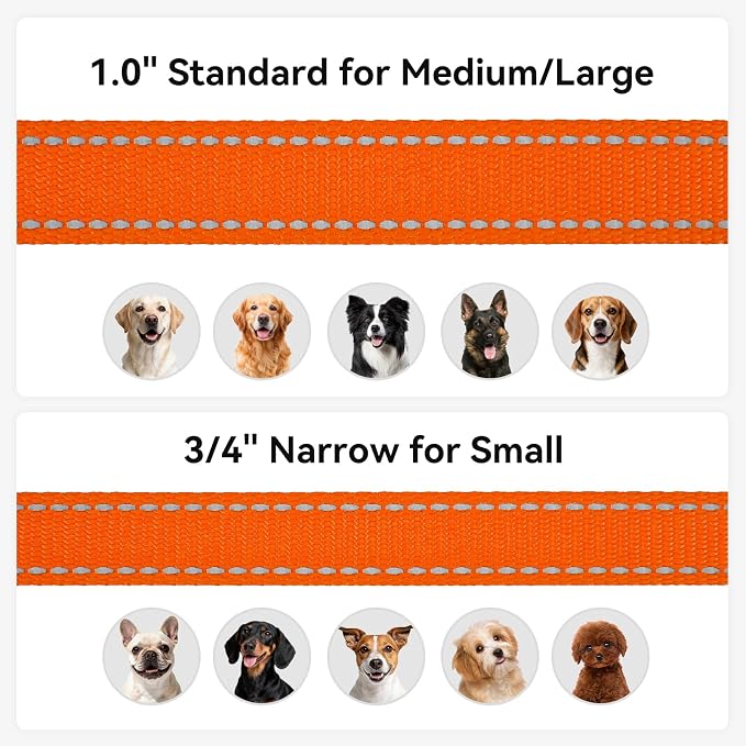 Joytale Reflective Dog Leash for Medium & Large Dogs, 5 FT x 1", Orange | Heavy Duty Nylon Webbing, Padded Handle for Comfort, Visible at Night, for Walking & Training - Image 6