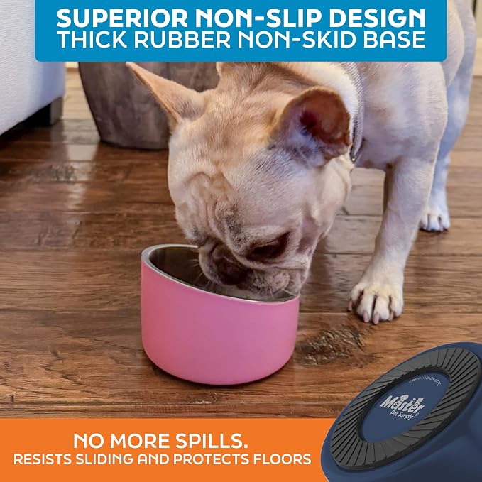 Master Pet Supply Stainless Steel Slanted Dog Cat Food Bowl 8 oz Navy Blue | Heavy Duty Double Wall Insulated, Non-Slip Elevated Bowl for French Bulldogs, Pugs, Cats, Anti Rust, Dishwasher Safe - Image 5