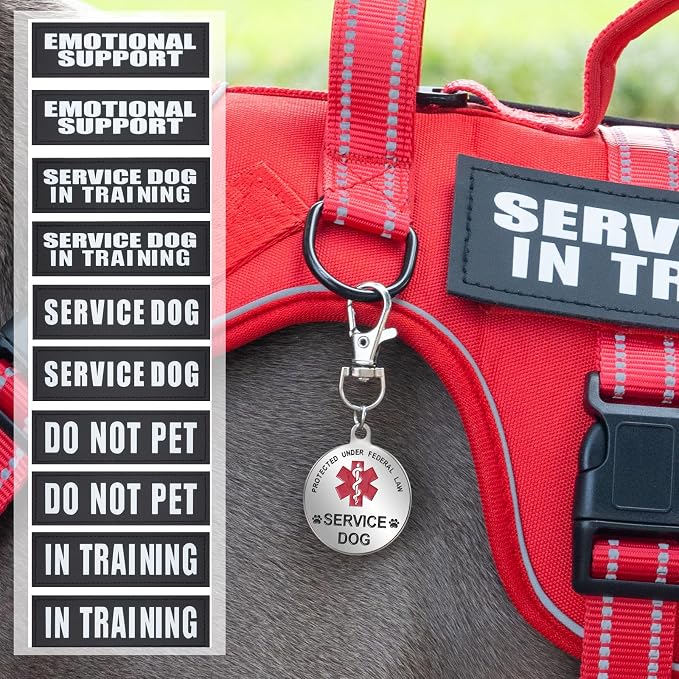 Service Dog Harness + ID Tag 50 ADA Information Cards - No Pull Dog Vest 10 PCS Removable Patches - Reflective Emotional Support Animal Vest for Large Dogs - Adjustable Breathable ESA Training Vest - Image 4