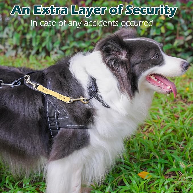 PetBonus Dog Collar Safety Clip, Waterproof Backup Safety Strap | Prong Collar to Harness Connector, Escape Proof, Odor Proof, Easy to Clean, Double Ended Clasp for Training Walking, Sand - Image 4