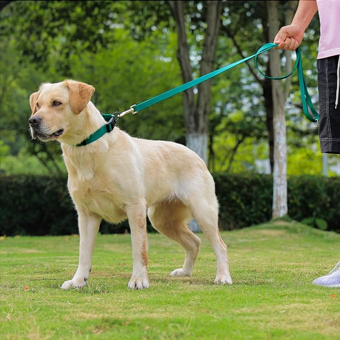 Waterproof Dog Leash, 5/6 FT Durable Odor-Proof Dog Leashes with Strong Metal Hooks Fits Small Medium or Large Dogs (Emerald Green, 6FT - 1 inch Width) - Image 6