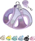Solmoony Dog Harness for Small Medium Dogs No Pull, Puppy Harness and Leash Set, Puppy Harness for Small Dogs, Step in Harness for Small Dogs, Small Dog Harness, mesh Dog Harness. (Purple, XXS) by SOLMOONY