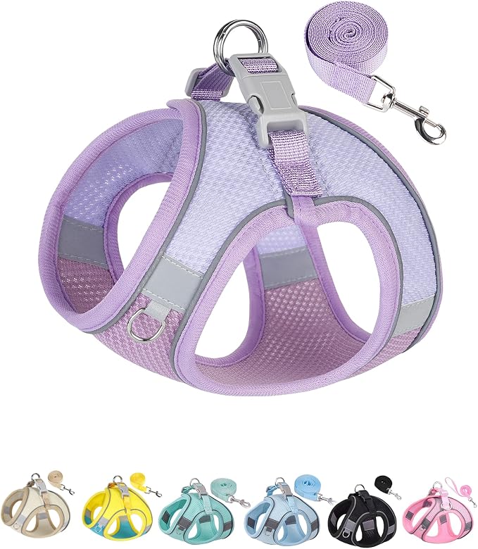 Solmoony Dog Harness for Small Medium Dogs No Pull, Puppy Harness and Leash Set, Puppy Harness for Small Dogs, Step in Harness for Small Dogs, Small Dog Harness, mesh Dog Harness. (Purple, S) by SOLMOONY