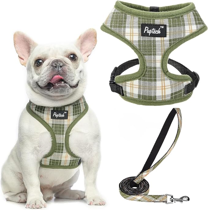 PUPTECK Small Dog Harness and Leash Set No Pull for XS XXS Sized Dogs Puppy | Escape Proof No Choke Pet Cat Adjustable Soft Padded Walking Vest by PUPTECK