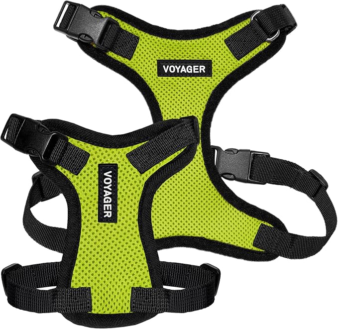 Voyager Step-in Lock Dog Harness - Lime Green/Black Trim, X-Small | 13 - 16" in Chest, Adjustable, Breathable Air Mesh, Lightweight for Daily Walks, Strong Clips, Heavy Duty D-Ring - Image 6