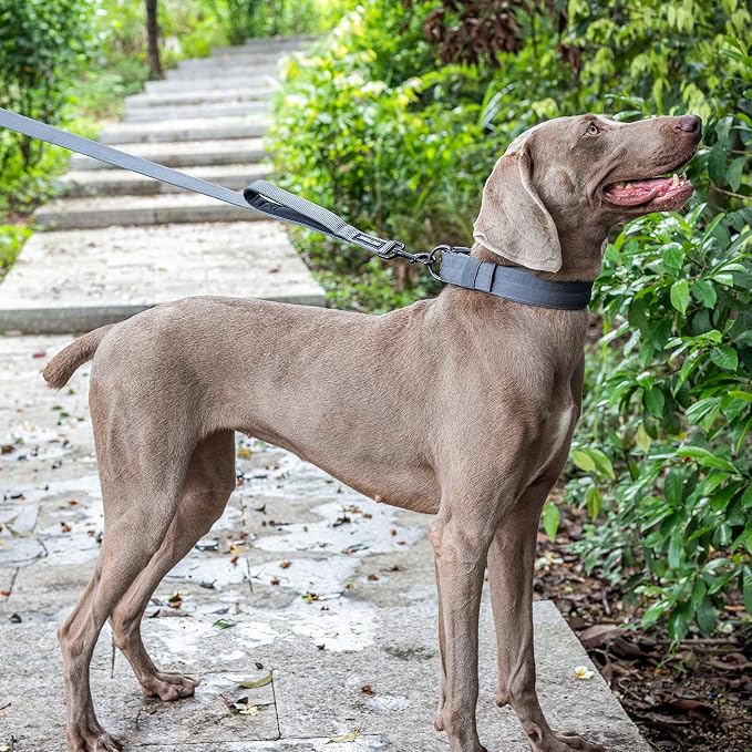 OneTigris No-Pull Dog Leash with Handle for Medium Large Dogs (Black, 6FT) | Durable lead built for training & daily walks. Ideal drag line for strong pullers and large breeds like bully dogs. - Image 7