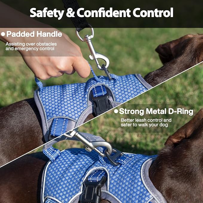 Escape Proof Dog Harness, Dachshund Harness, Reflective Dog Harness with Handle, Durable,Adjustable Vest for Small Medium Large Dogs Walking, Training, and Running Gear (Technicolor Blue,S) - Image 4