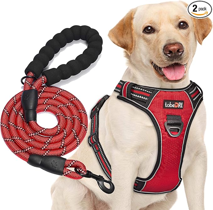 tobeDRI No Pull Dog Harness Adjustable Reflective Oxford Easy Control Medium Large Dog Harness with A Free Heavy Duty 5ft Dog Leash, Red, XL by tobeDRI