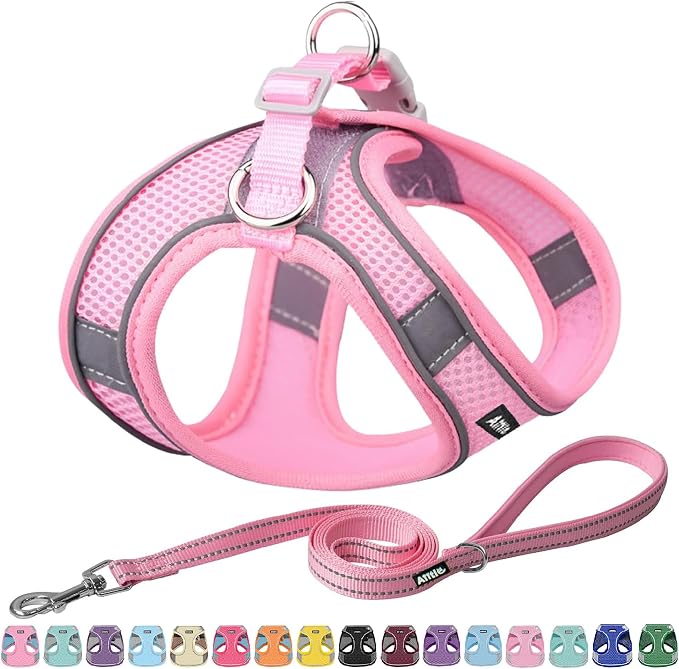 AIITLE Dog Harness and Leash Set, Step-in Puppy Pet Vest, Pure Pink XL | Breathable Mesh, Adjustable Fit, Reflective Design, Padded Leash Handle, for Small-Medium Dogs & Cats, Walking, Training by AIITLE-FORPETSBETTERLIFE
