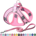 AIITLE Dog Harness and Leash Set, Step-in Puppy Pet Vest, Pure Pink XL | Breathable Mesh, Adjustable Fit, Reflective Design, Padded Leash Handle, for Small-Medium Dogs & Cats, Walking, Training by AIITLE-FORPETSBETTERLIFE