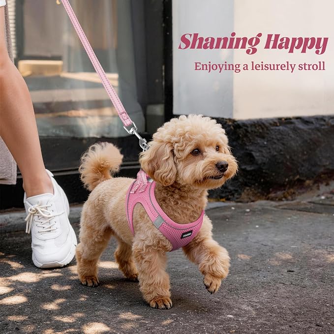 YIMEIS Dog Harness and Leash Set, No Pull Soft Mesh Pet Harness, Reflective Adjustable Puppy Vest for Small Medium Large Dogs, Cats (Pink, Small (Pack of 1) - Image 6
