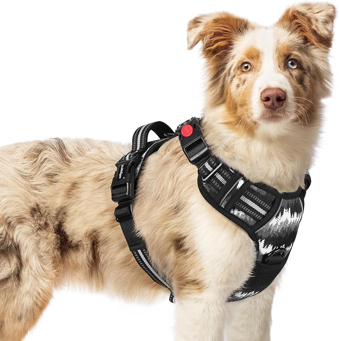 rabbitgoo Dog Harness Medium Sized, Updated Easy On & Off with 3 Buckles | No Pull No Choke, Walking with 2 Clips and Handle, Adjustable Soft Reflective, Mountain Black, Medium by rabbitgoo