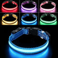 USB Rechargeable LED Dog Collar, Waterproof, Adjustable, Glowing, for Large Dogs, Night Walking, Camping, Jogging, Blue, L (Neck 18-28", Width 1") by Aiminto-Alwaysyourgoodmate