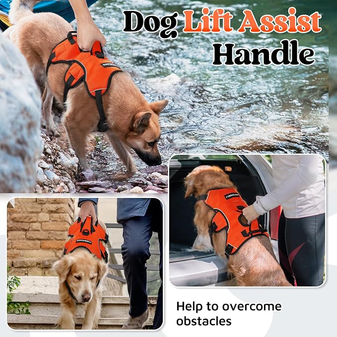 rabbitgoo Escape Proof Dog Harness for Large, No Pull with Lift Handle | No Escape, Full Soft Padded, Reflective Adjustable Vest, Leash Clip for Walking Hiking Training, Orange, Large - Image 3