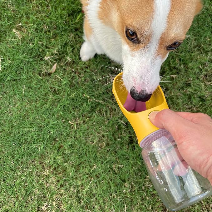 WePet Portable Dog Water Bottle, 19 OZ, Leak Proof Puppy Water Dispenser with Drinking Feeder for Pets Outdoor Walking, Hiking, Travel, Food Grade Plastic - Image 2
