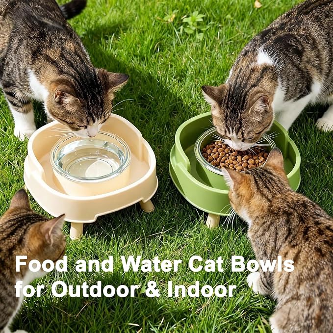Ant Proof Cat Food Bowls, Elevated Pet Dish W/Deep Anti Ant Moat Stand-G/2 | 2 Glass Bowls, Stress Neck Free, Non-Spill Food & Water Bowls W/ Feeding Station for Outdoor&Indoor Cats/Small Dogs, Ant Free - Image 7