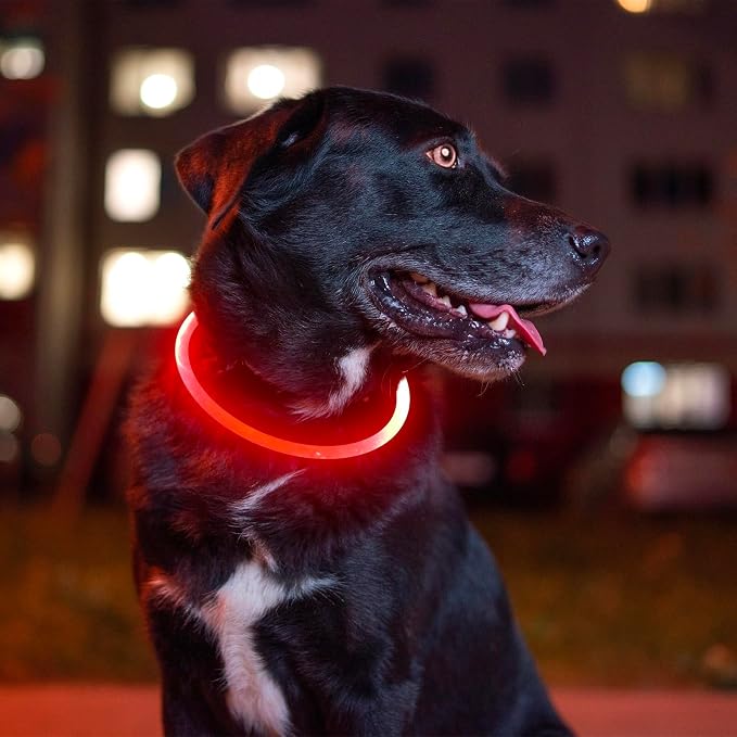 Led Dog Collar, BSEEN USB Rechargeable Flash Dog Necklace Light, Pet Safety Collar Makes Your Beloved Dogs Be Seen at Night for Small Medium Large Dogs(Red) - Image 5